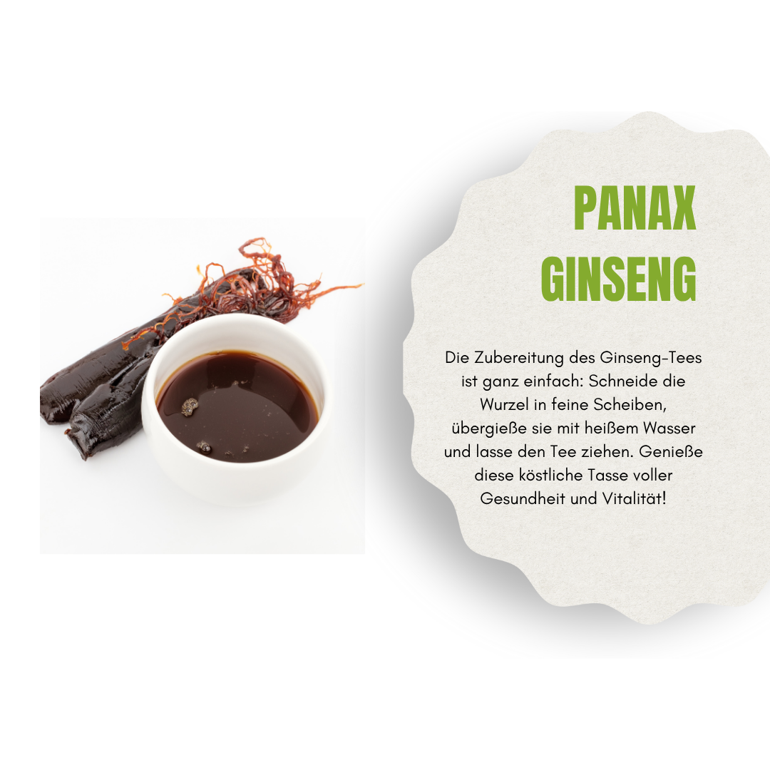 Panax Ginseng Wurzel – Frisch & naturbelassen – Für Energie, Fokus & Wohlbefinden