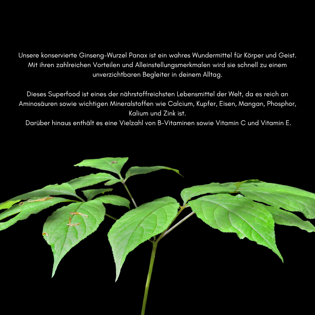 Panax Ginseng Wurzel – Frisch & naturbelassen – Für Energie, Fokus & Wohlbefinden